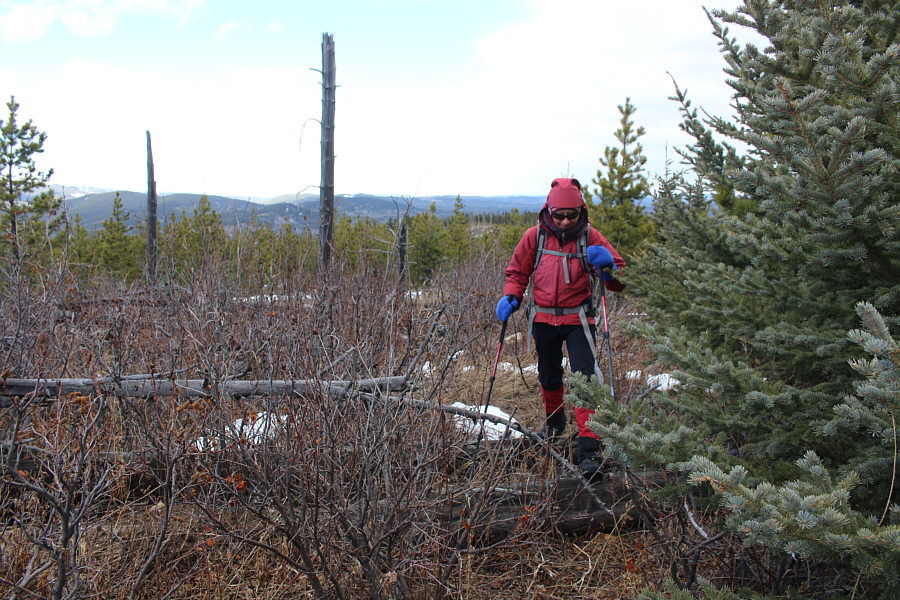 Only worth it for diehard hill-baggers!