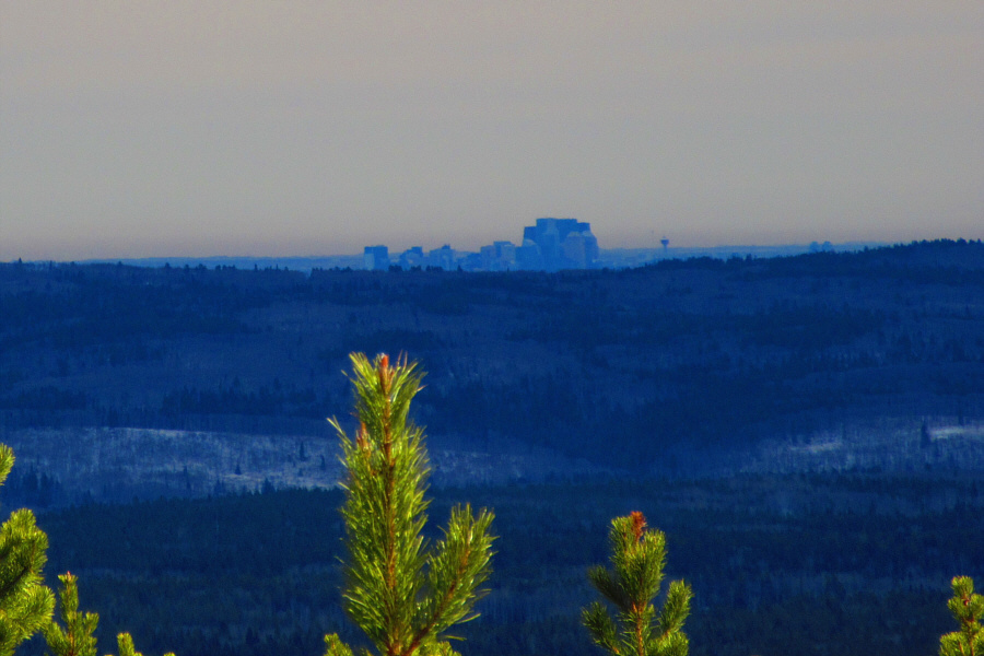 We couldn't tell if this was actually downtown until seeing this zoomed-in photo!