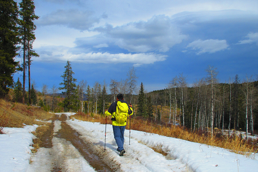 To be avoided in late spring or after a good rain!