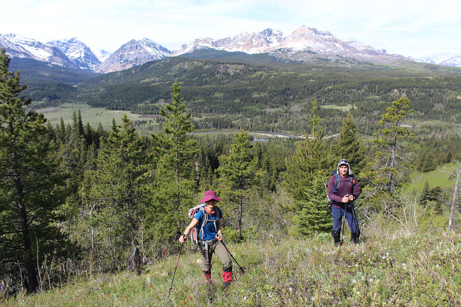 Zosia's hat almost matches Dave's shirt!