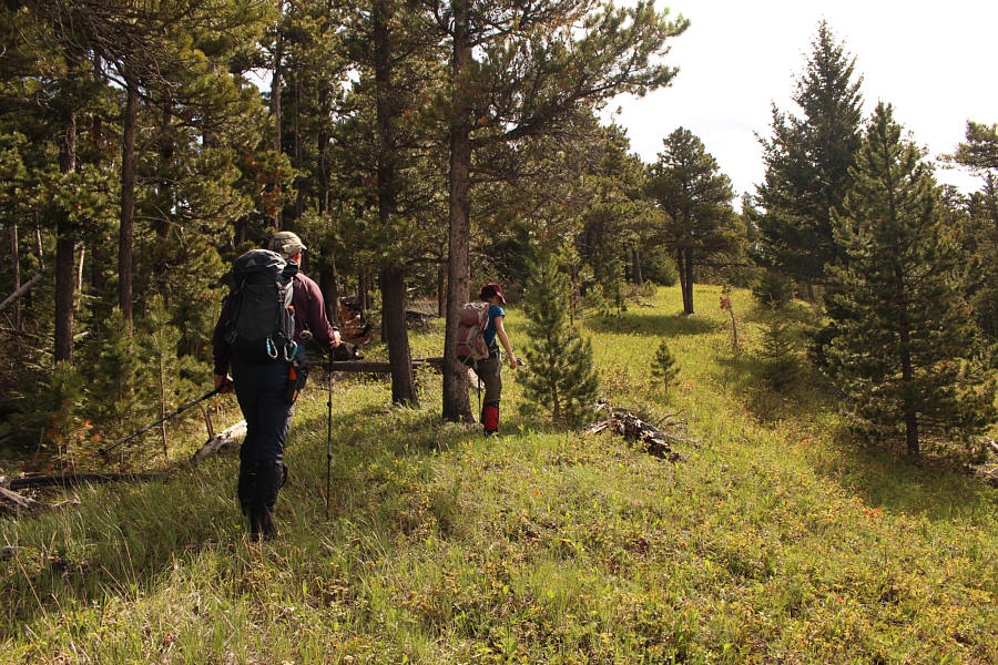 Enjoy this while you can...more deadfall ahead!