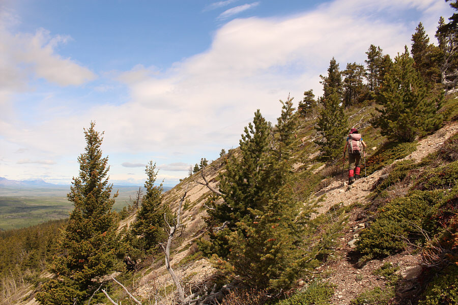 Probably don't wanna be here when it's really windy!