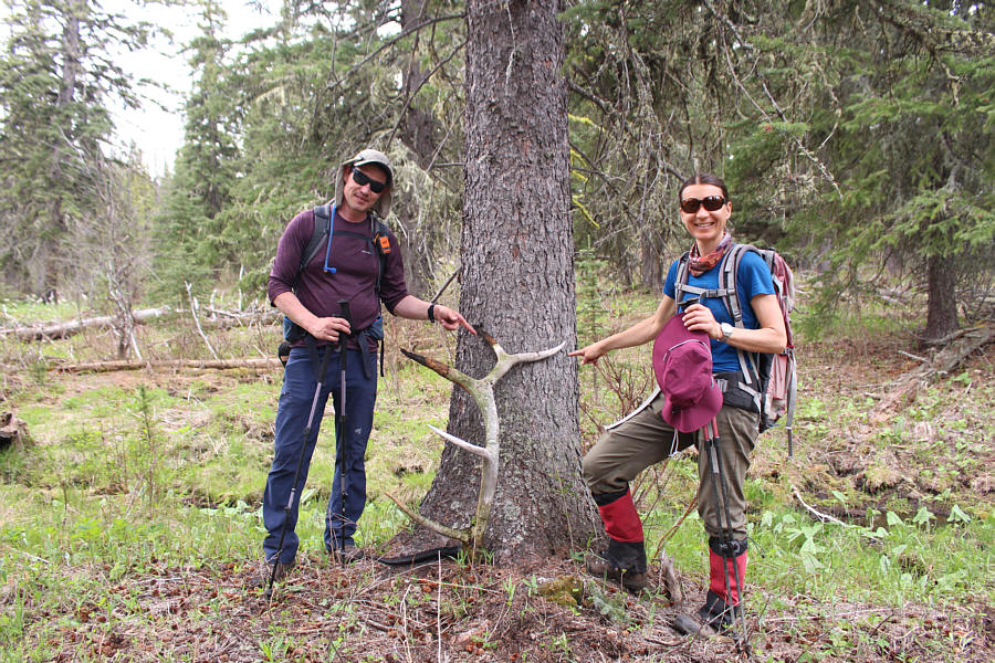 Zosia finds dead things!