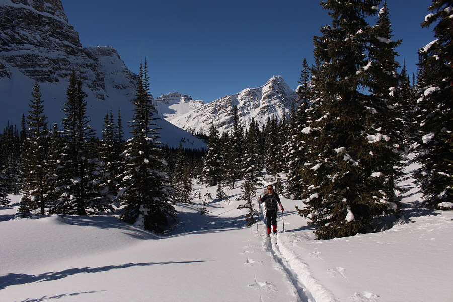 Feels like spring here!