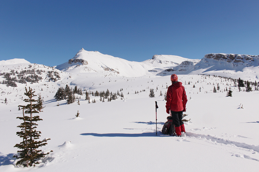 What a nice day to be here!