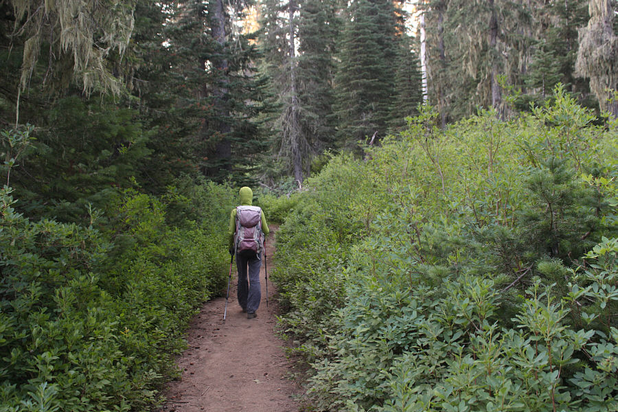 This trail probably sees more traffic on summer weekends.