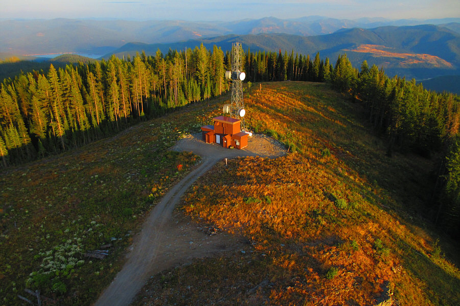 I had to open a window for Zosia to take this photo.