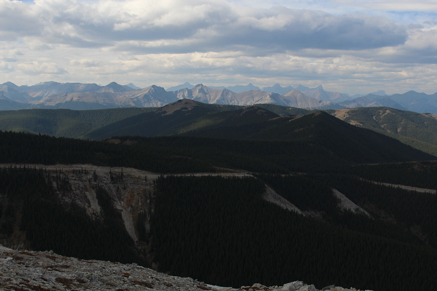 Boy, am I glad we're not going back that way!