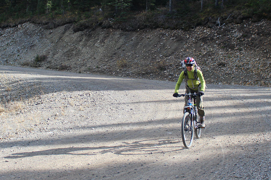 At least she has nice disc brakes versus my old school caliper brakes!