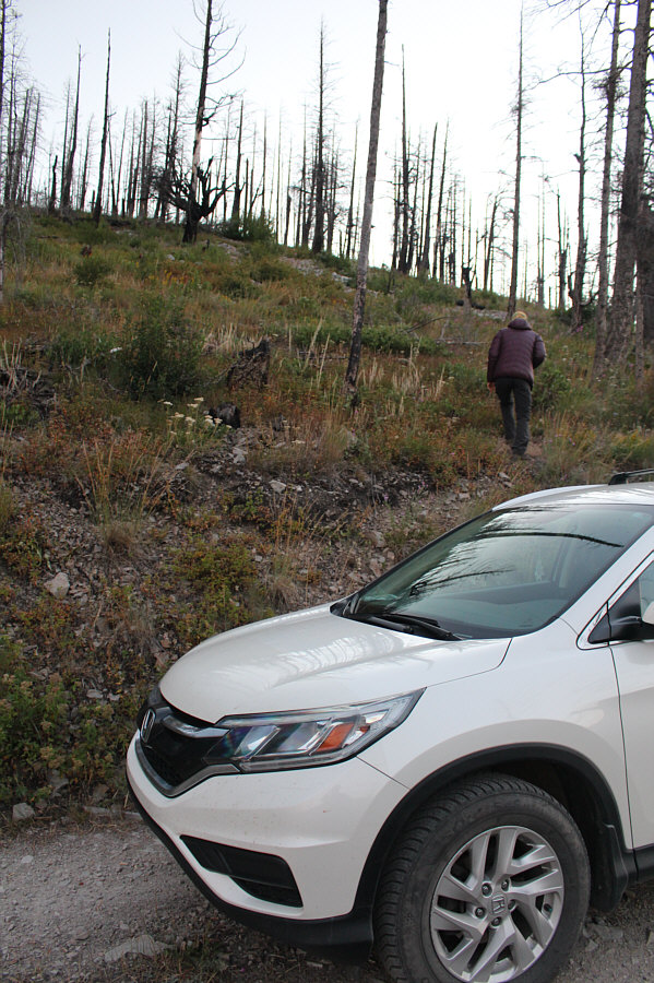 Short but it's not exactly a walk in the park either!