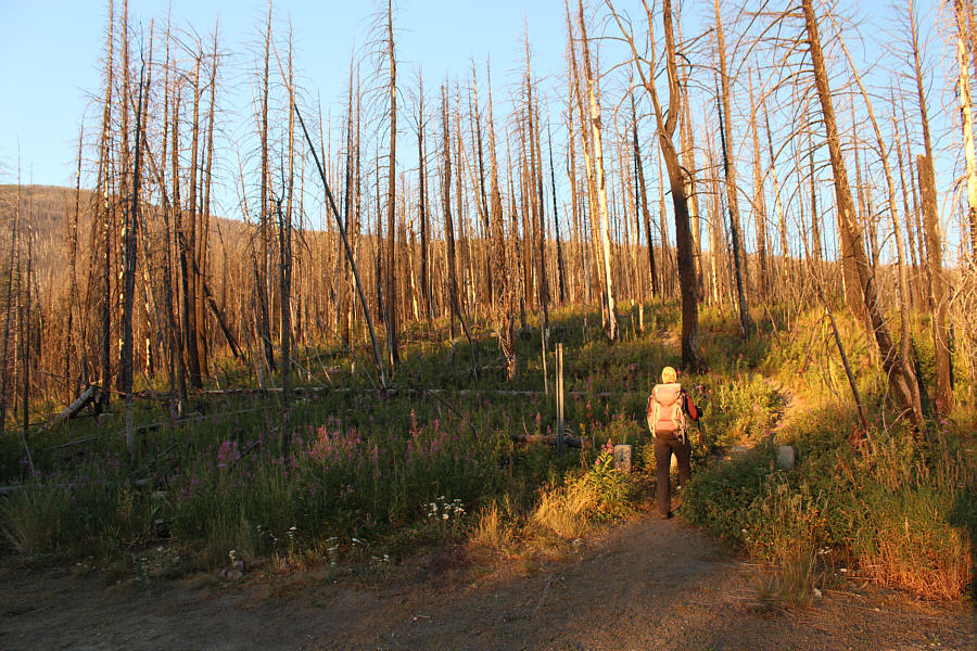 It's gonna be a long day...