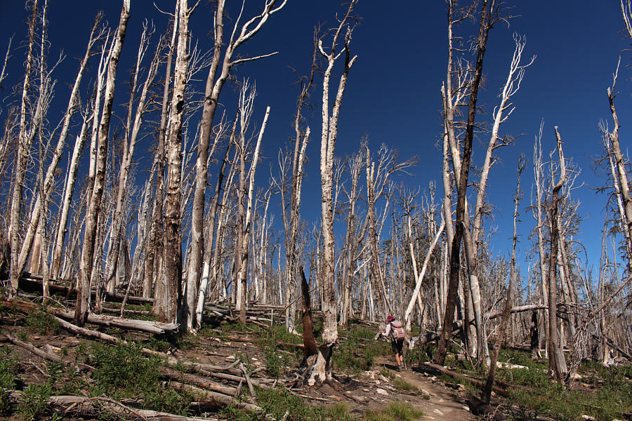 The heat was brutal!