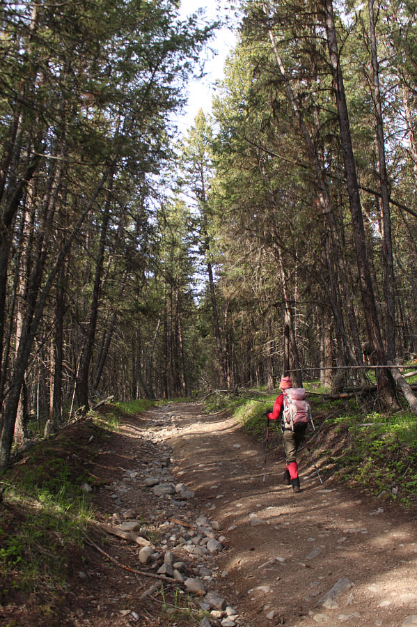 Might be better to do this one with a mountain bike...