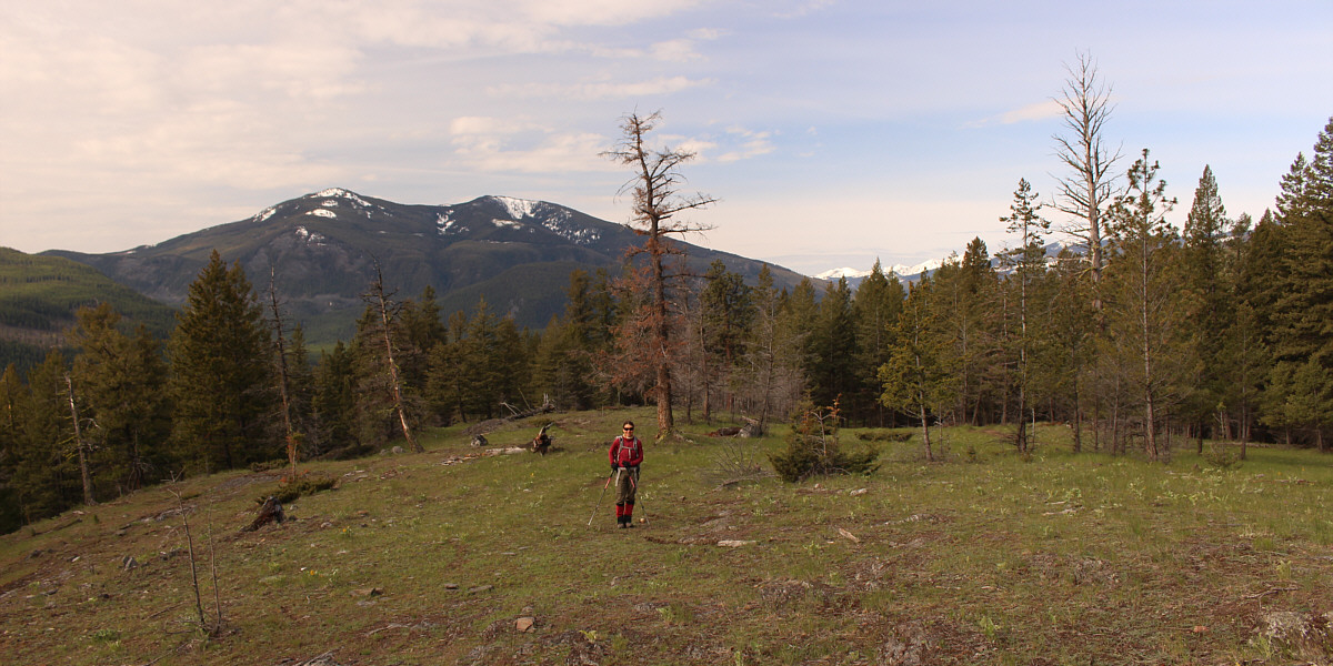 This is about as open and scenic as it gets on this hill!