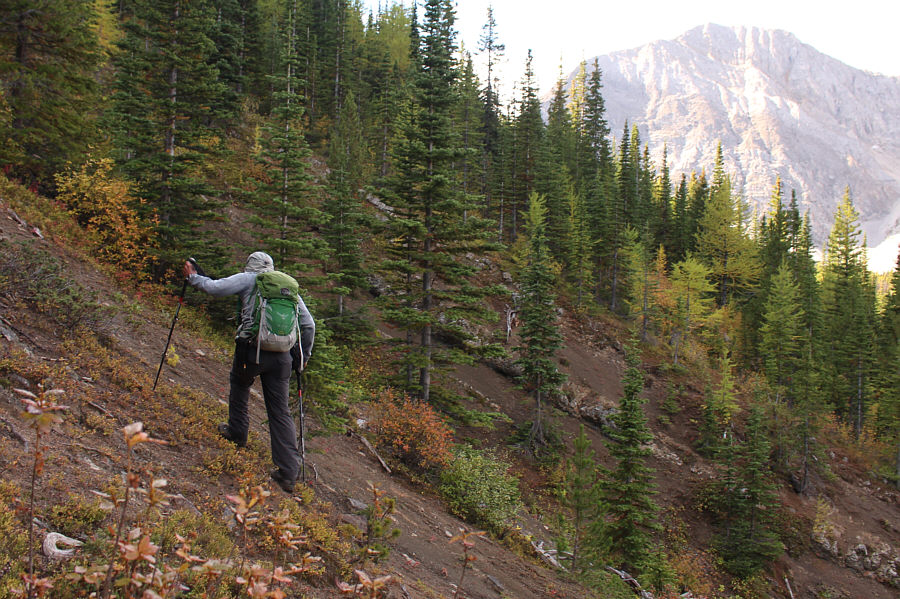 Amazingly, Bob is still going strong!