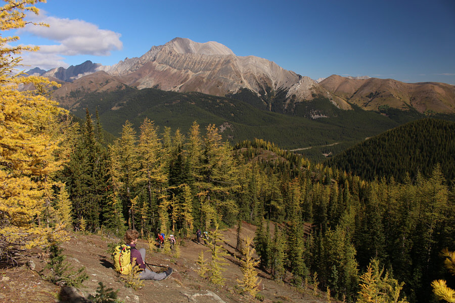Luckily, the fresh snow wasn't a factor on this day.