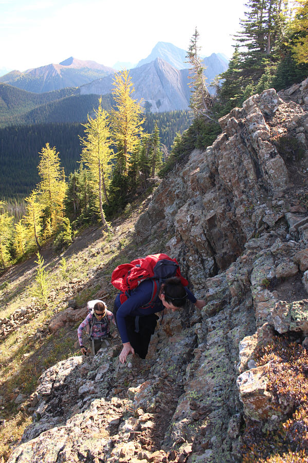 Yay, we're scrambling!