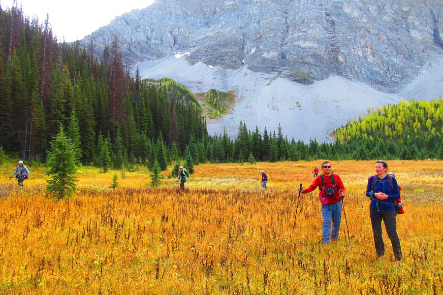 I need to get a new pair of waterproof boots!
