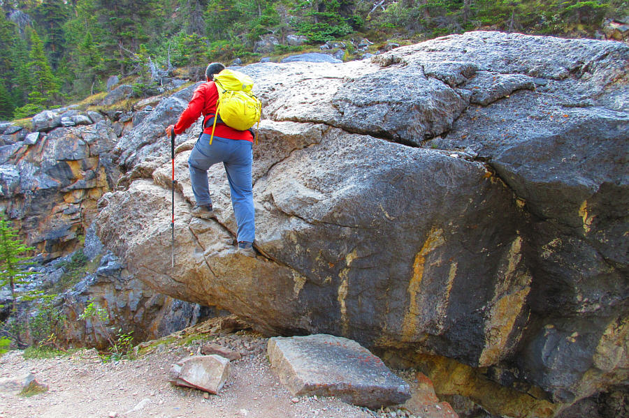 There used to be a step ladder here. Who took it away?