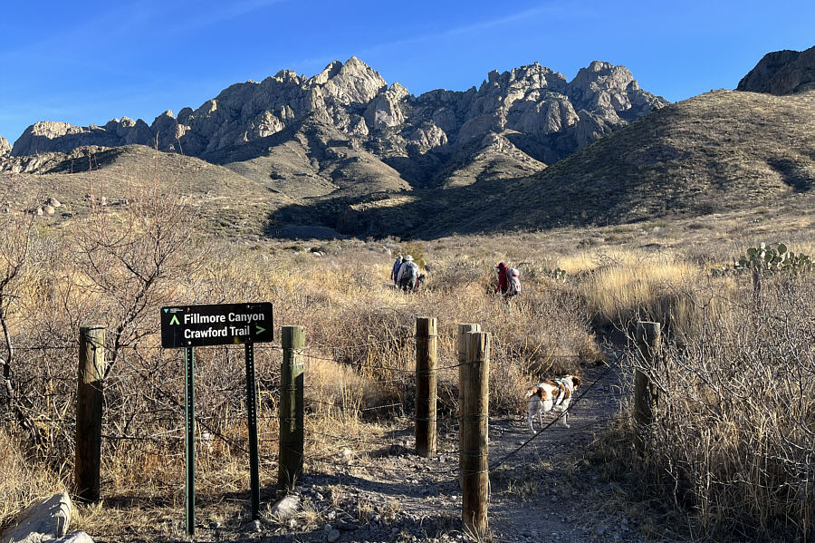The other hikers and their dogs would NOT be climbing Organ Needle with us on this day.