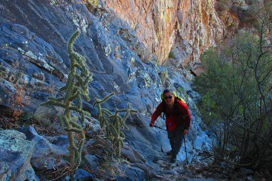 Try not to poke yourself on the way up...or down!