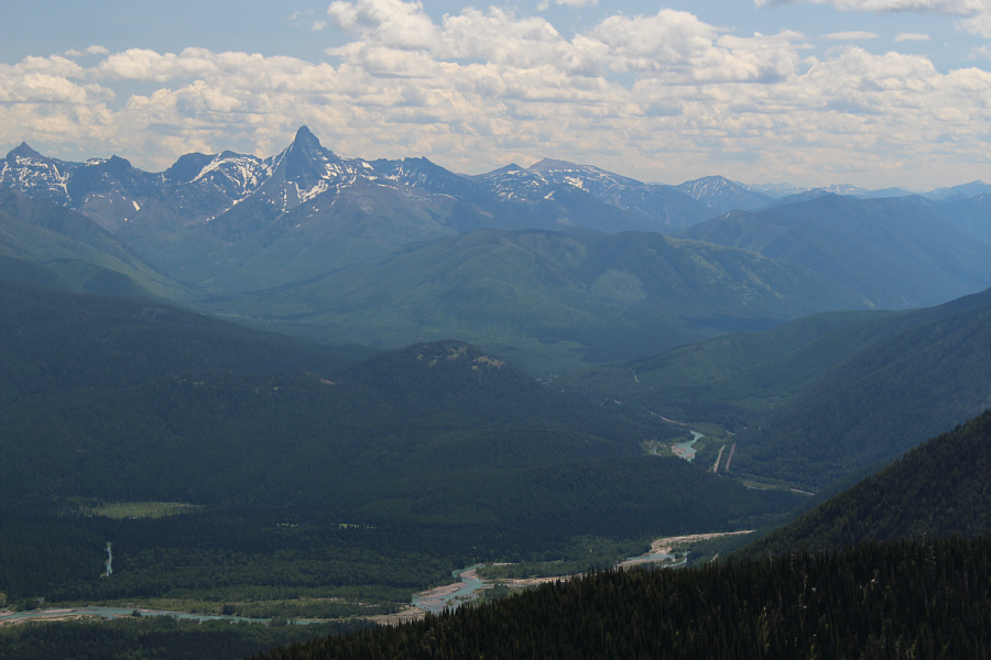 Good one to climb for Christmas, right?