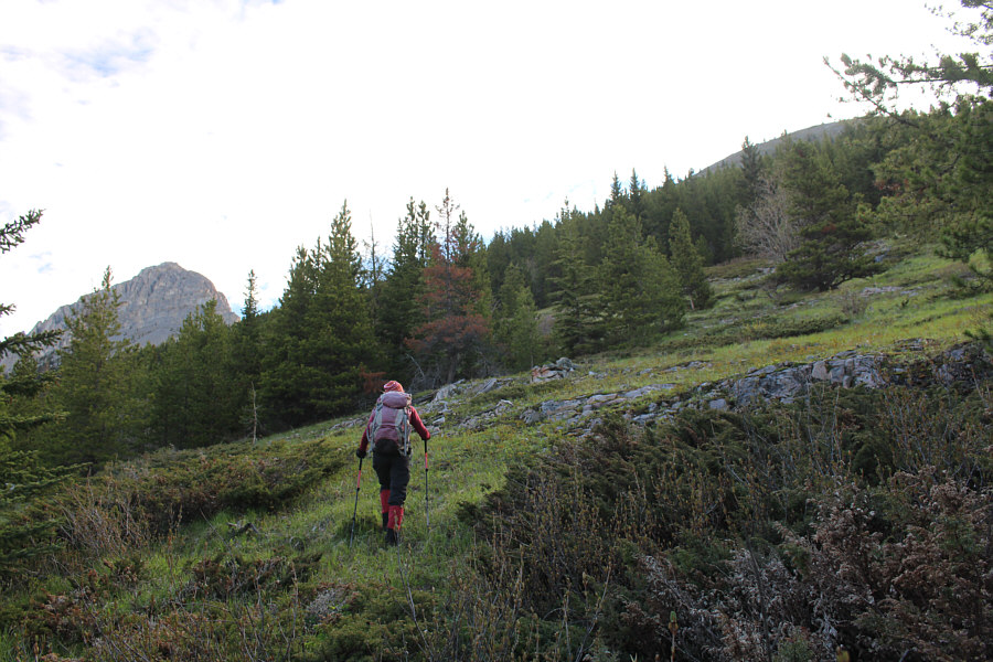 Thinking about sex works as well!