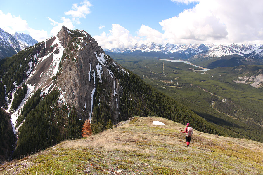 See you later, ticks!