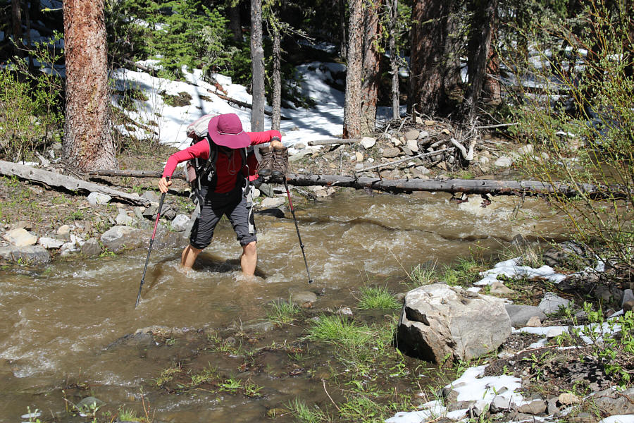 Actually, I was able to walk across the log behind her with the help of my hiking poles.