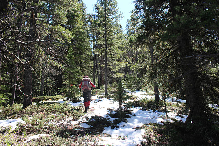 Bob said, "we bushwhacked for two hours without views"...yup!