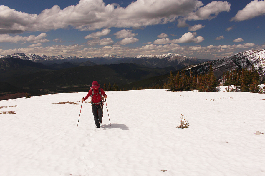 Great views, but was it worth it?