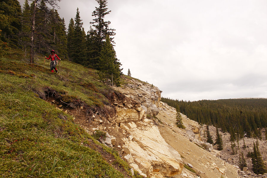 It might have been easier to stay on the viewless ridge crest...