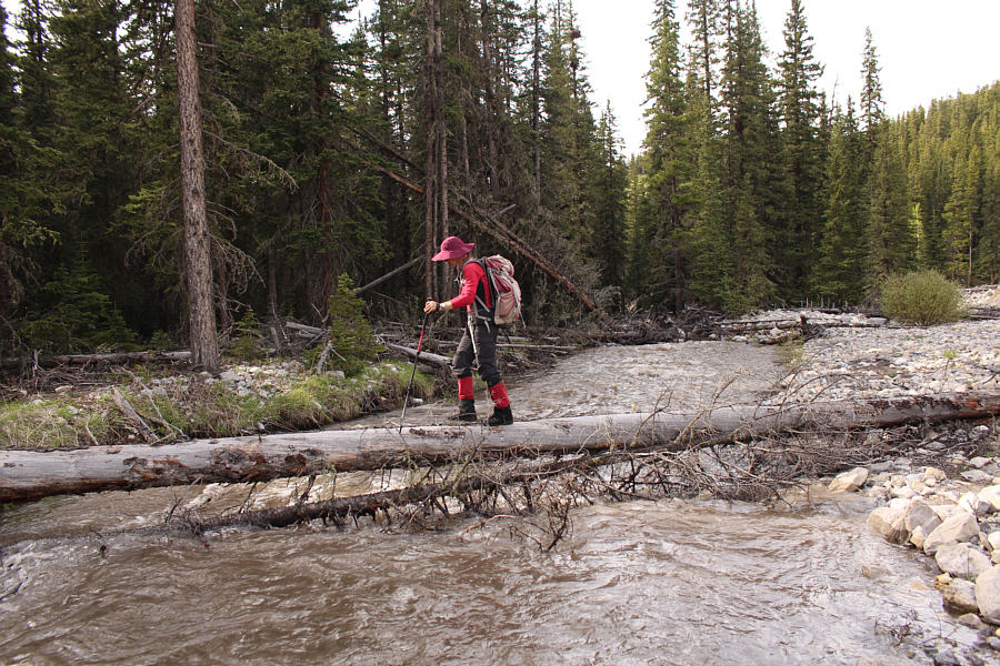 It's a good thing the log didn't get washed away!