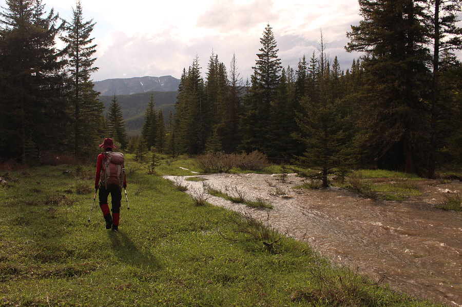 I guess this helps to sweep all the cow dung into Salter Creek...
