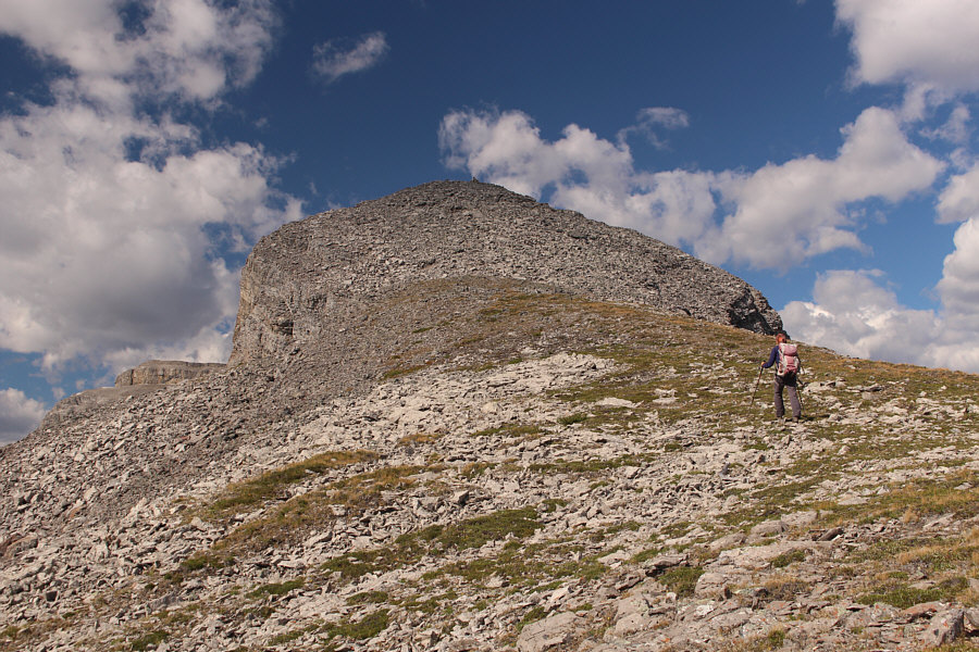 Okay, maybe more than just a few!