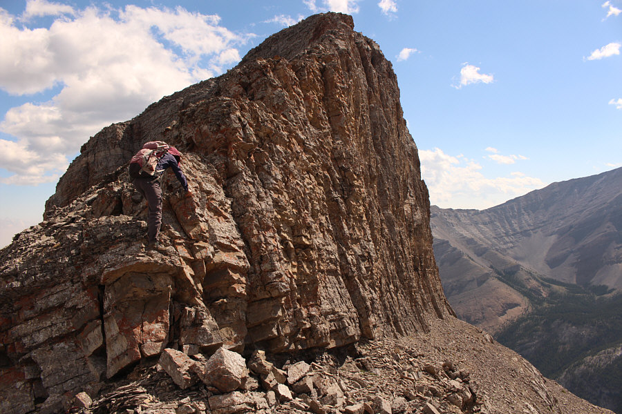 Probably could have bypassed this to the left of the photo.