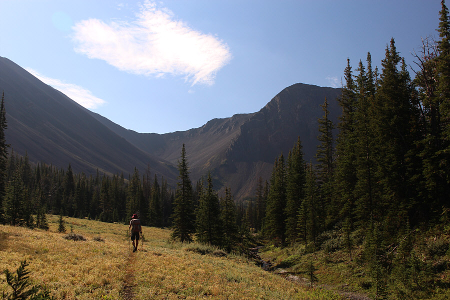Lots of great camping spots here with a reliable creek nearby.