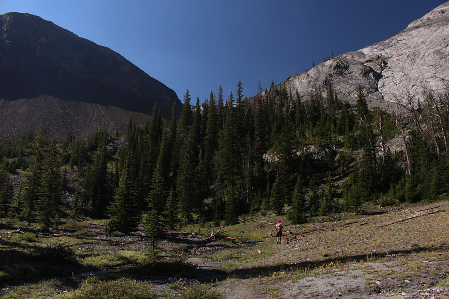 Stick to the trail here; you won't regret it!