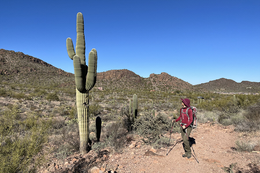 You know you're in southern Arizona when...