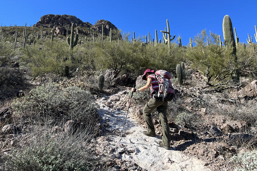 We might be hiking on State Trust Land here (ie. recreational permit required).
