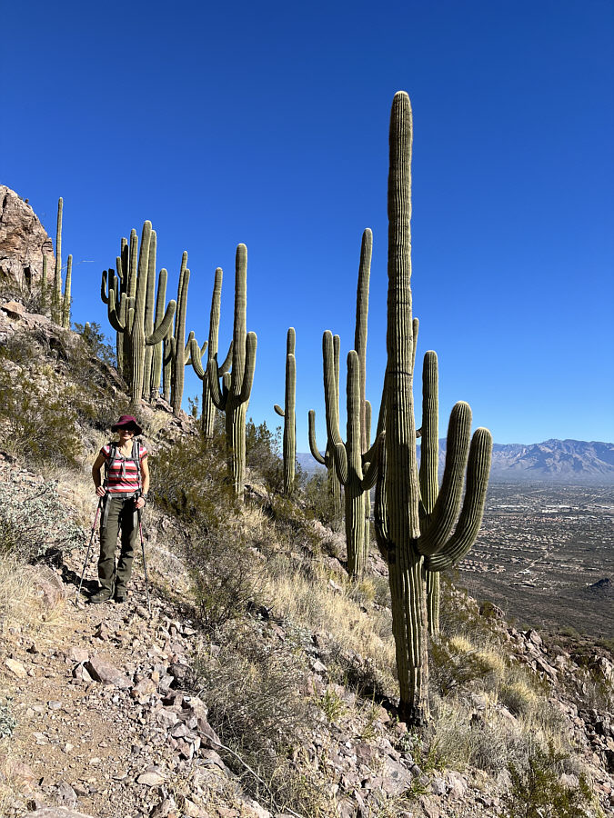 Some of them look like they're giving us the Finger!