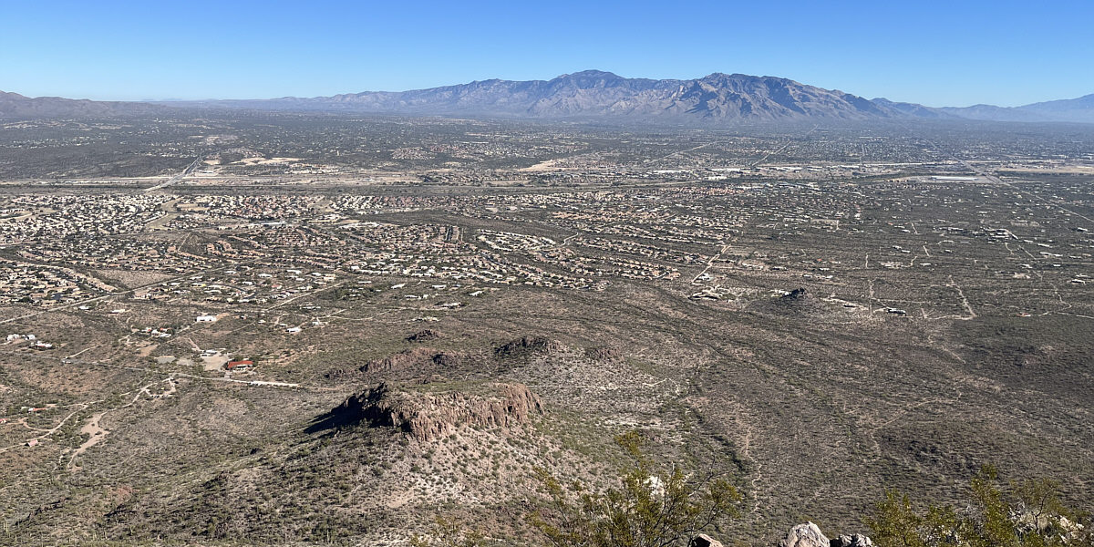 Jojo left his home in Tuscon, Arizona for some California grass.