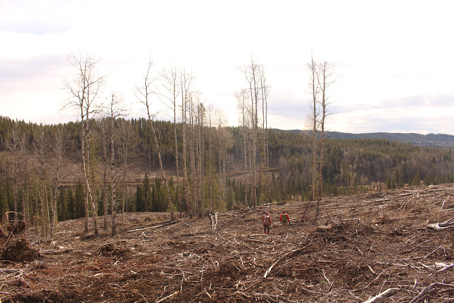 Walking through slash sucks!