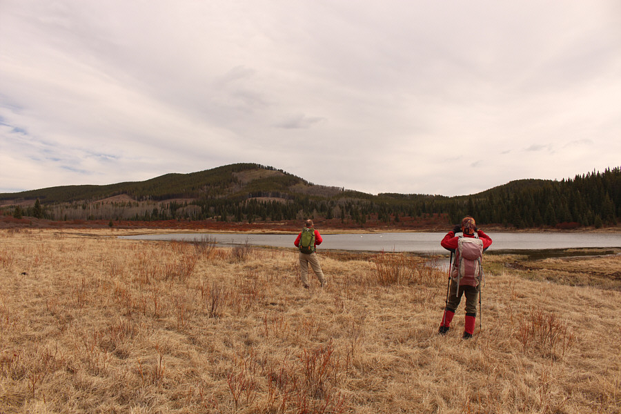 Guess what they saw!