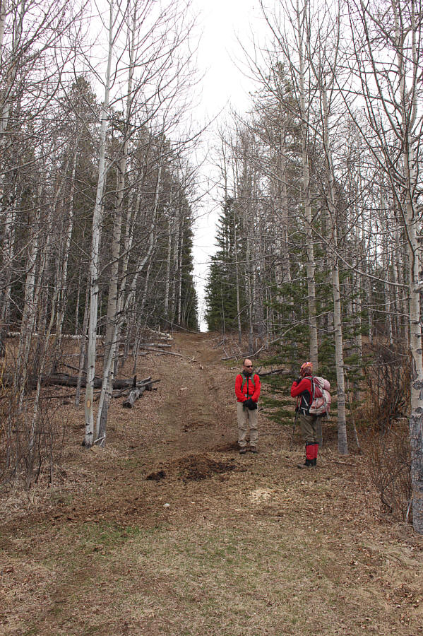 Smelled like a sulphur spring here...or maybe it's all the horse poop!