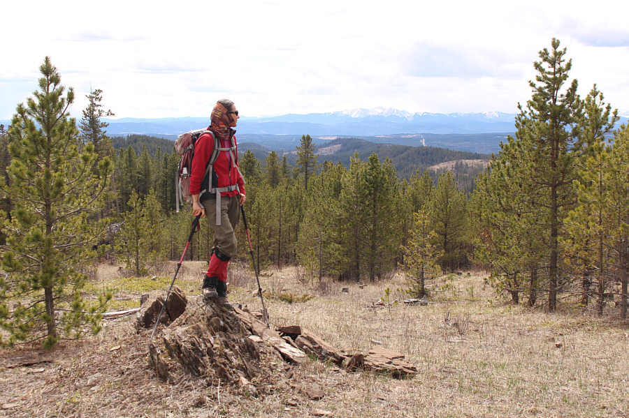 Not bad views for a lowly foothill.