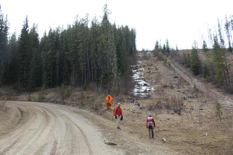 Always go for "more direct"; why prolong the misery?