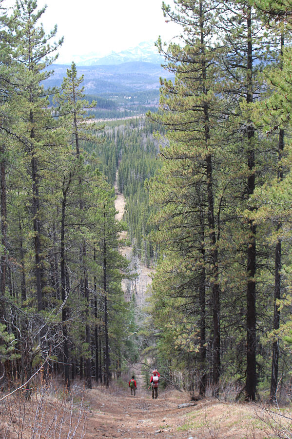 It would be fun to roll a bowling ball down this cut line!