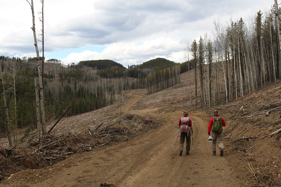 I wish I had my e-bike here...