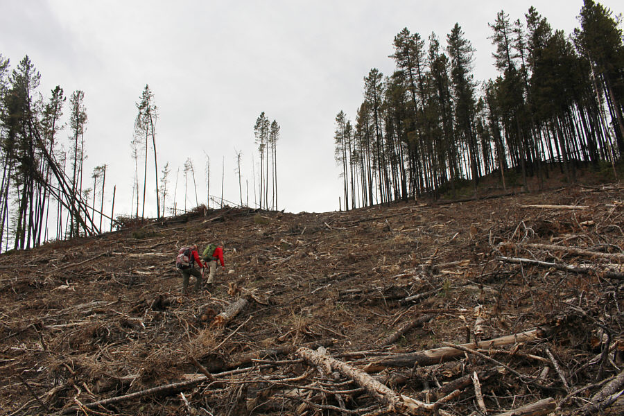 Last bit of misery for the day!